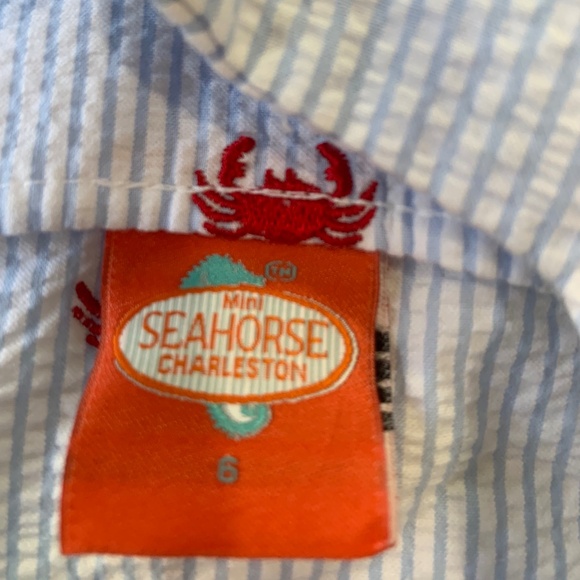 Girl's Blue Seersucker with Crab Embroidery Shift Dress by Mini Seahorse Chs. - Picture 3 of 3